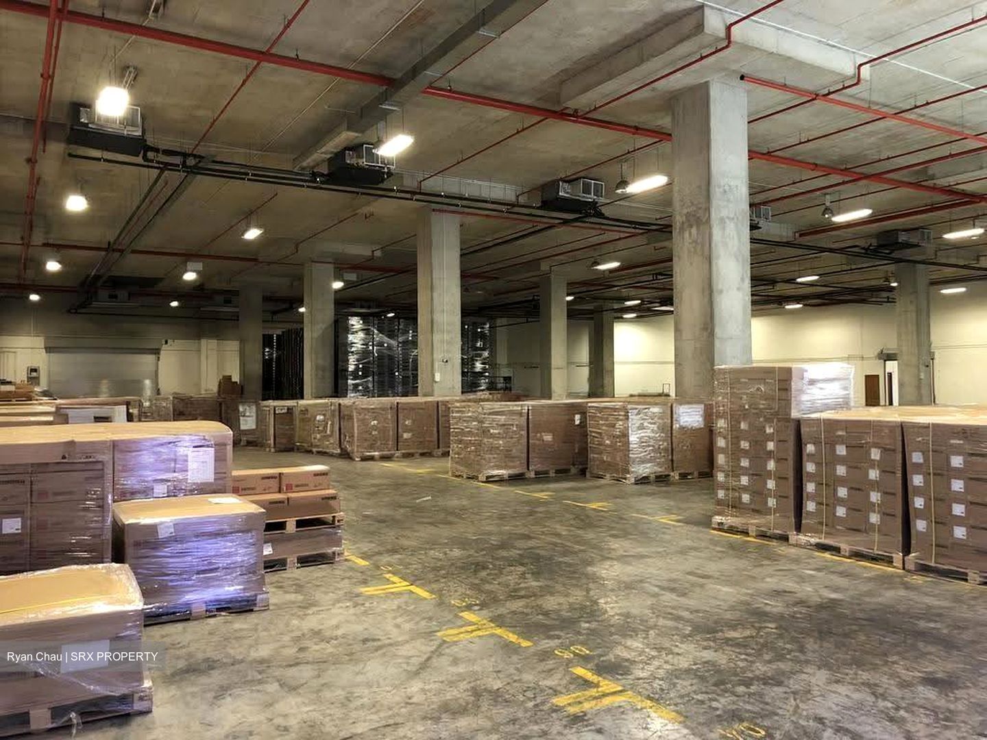 Pantech Business Hub (D5), Warehouse #632388131
